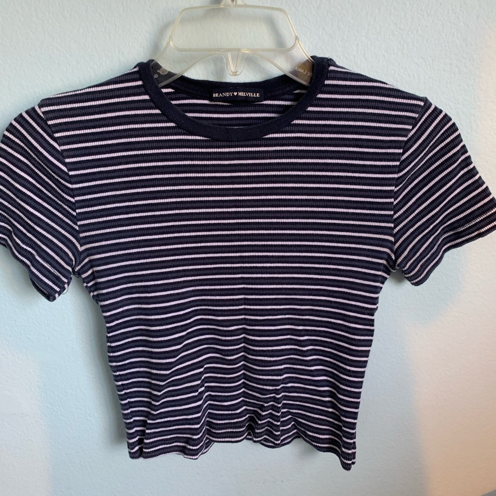 Brandy Melville Cropped Top